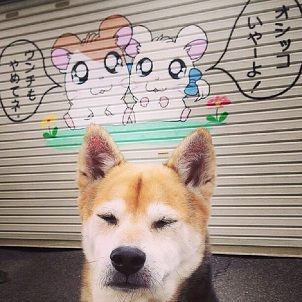 暗夜之光与疆场烽火，一场跨越时空的篮球血脉交响