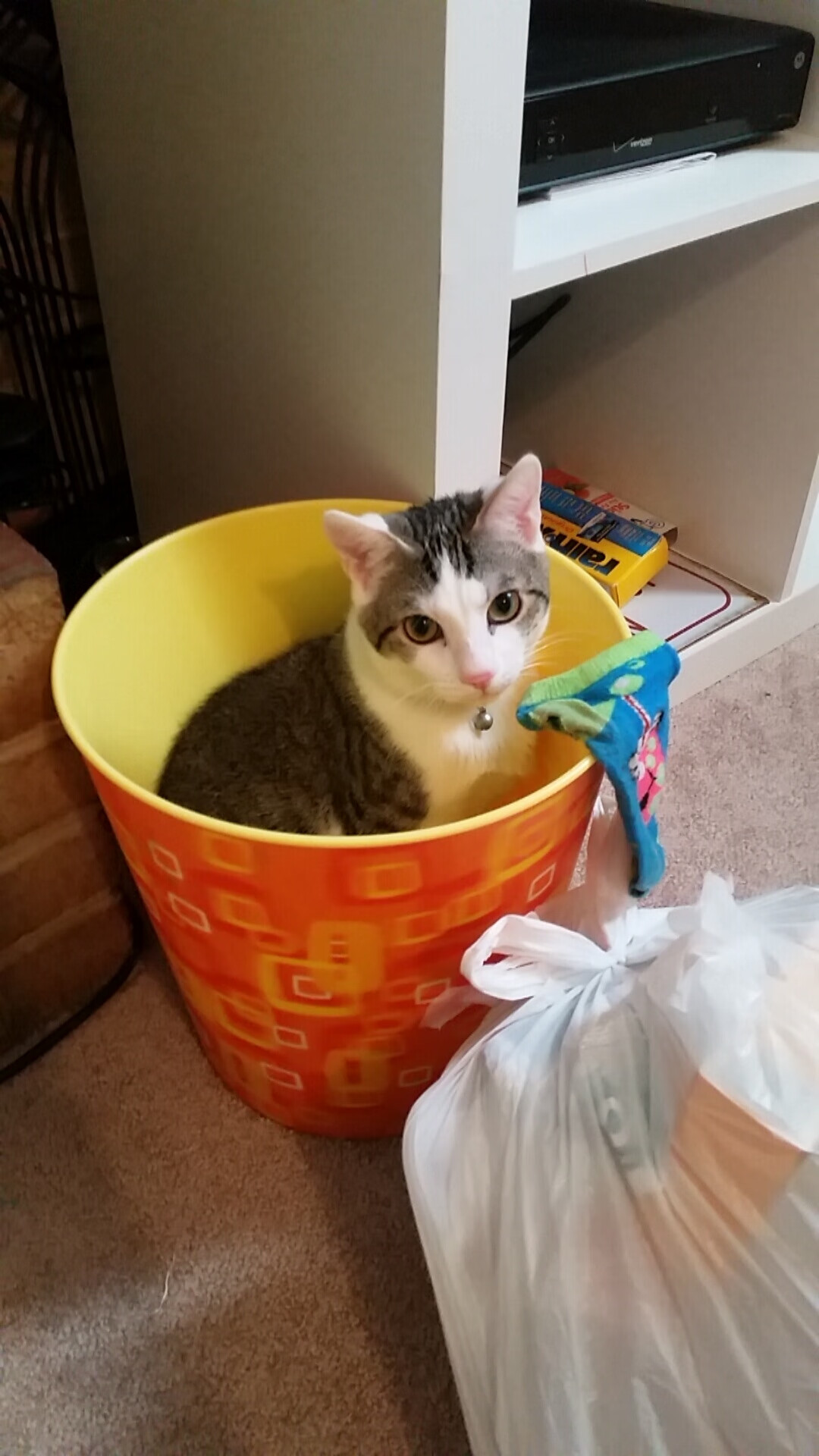 暗夜之光与疆场烽火，一场跨越时空的篮球血脉交响