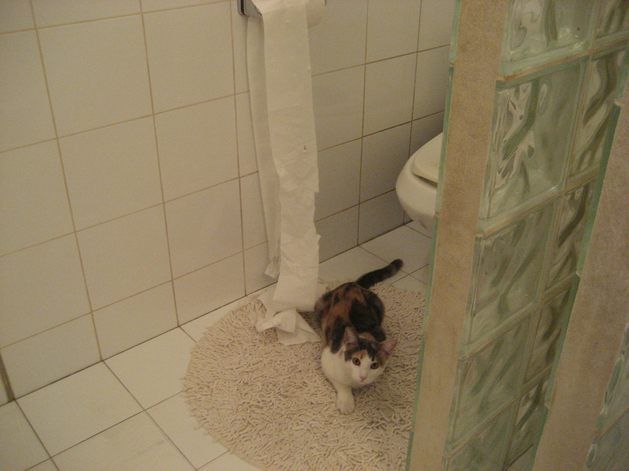 稳局与风暴眼，当骑士轻取老鹰时，霍勒迪正将西决拖入个人时间