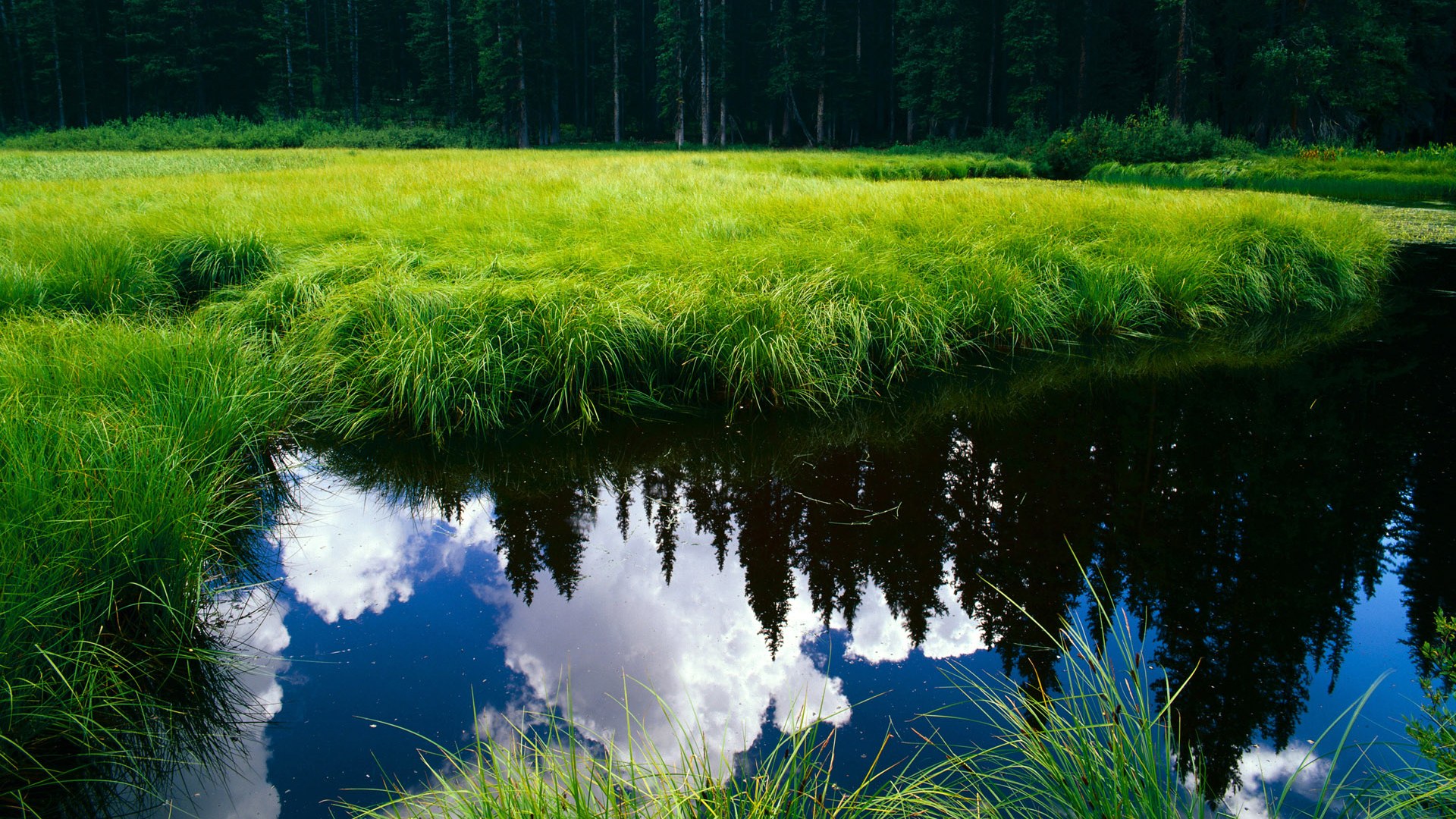 火力全开！贝恩狂轰40+彻底打穿魔术防线，吉林队主场告捷捍卫荣耀