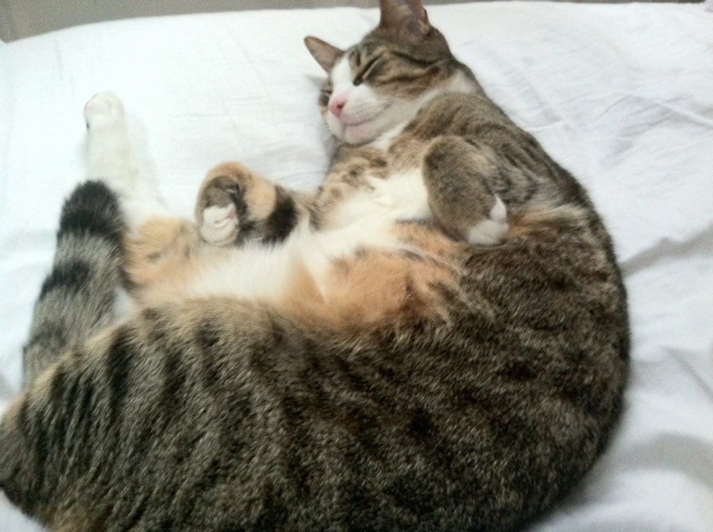 比利亚雷亚尔对阵乌克兰，C罗的教科书表现为何独一无二？