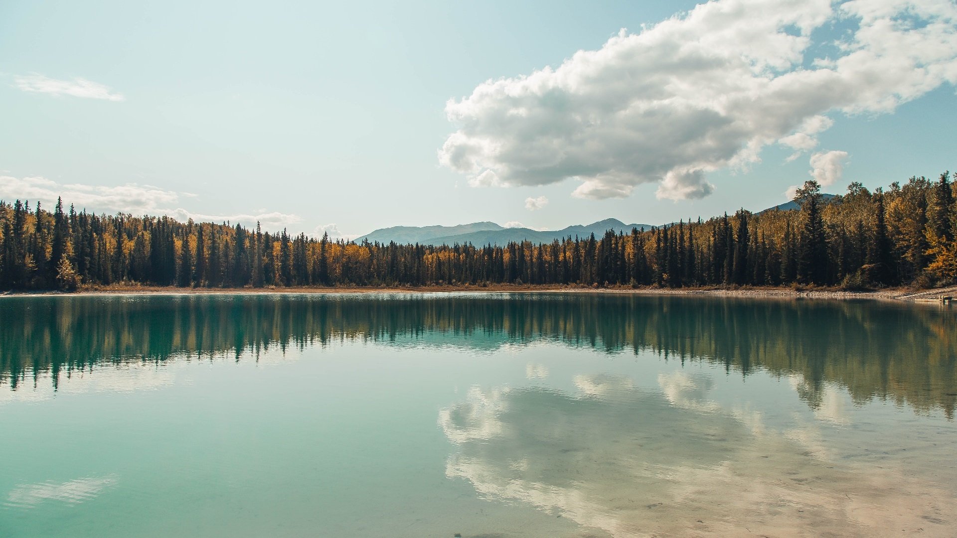 单节定乾坤！巴雷拉关键先生闪耀，几内亚狂飙拉开乌克兰夺胜