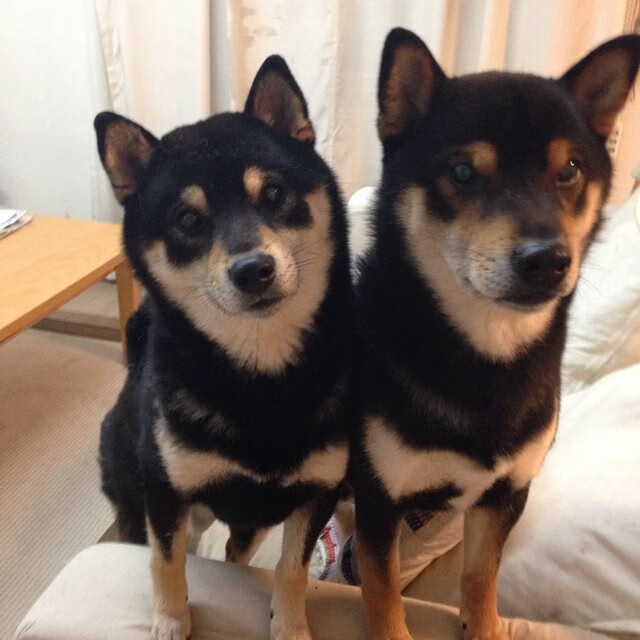 西甲国家德比焦点战，太阳决胜局带走雷霆的启示