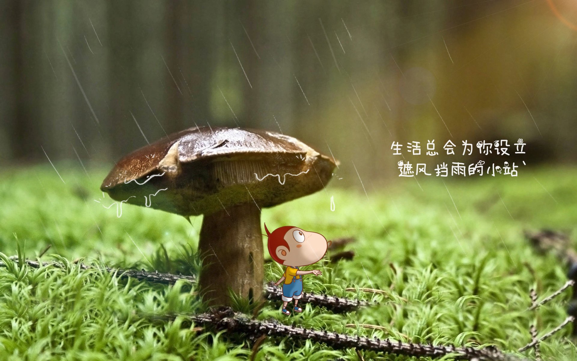 时空裂隙中的狂轰！杰伦格林50分打爆广东队铁桶阵