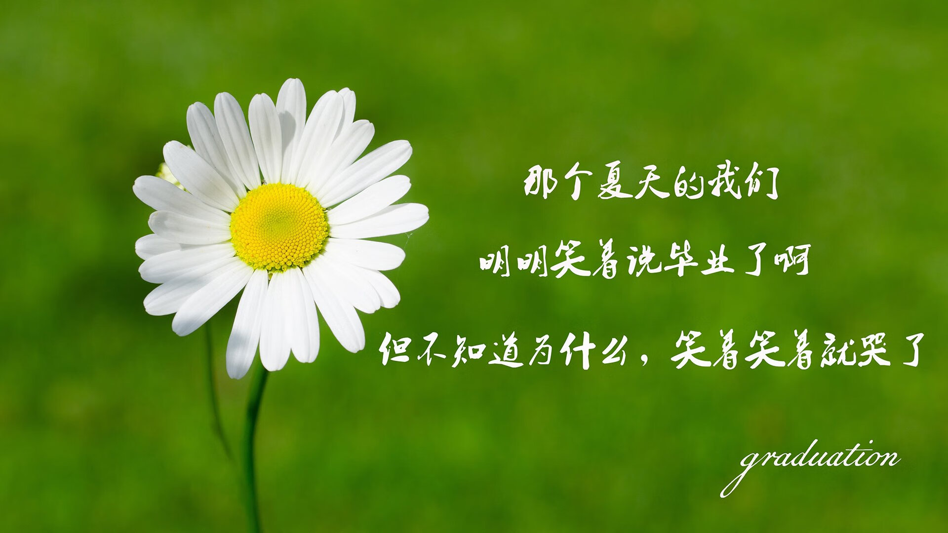 非洲大陆最后的边境，当亚特兰大的刀锋遇上卢卡库觉醒的铁蹄