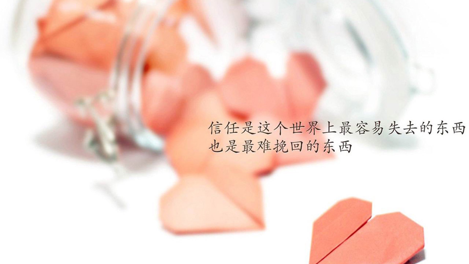 代号2026,郁金香的锋利与巴萨之子的光芒