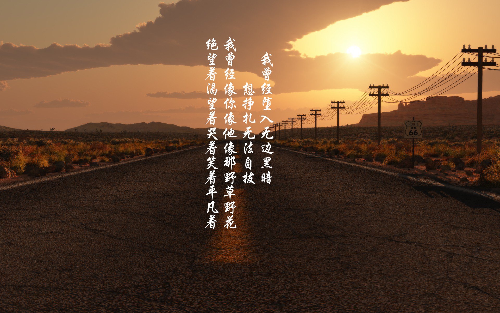 中亚狼的咆哮,2026世界杯,乌兹别克斯坦如何用钢铁防线与吉鲁神兵颠覆瑞士战车