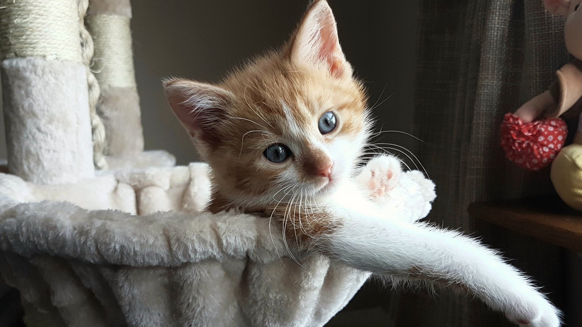 首先，我们来定一个具有独特视角的文章标题