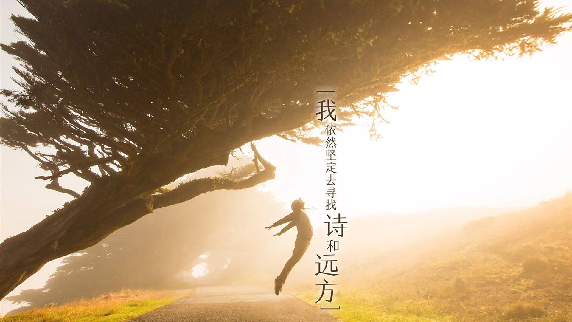 冰与火之歌,2026世界杯B组,萨内用一己之力,为芬兰点燃沙漠中的绿洲
